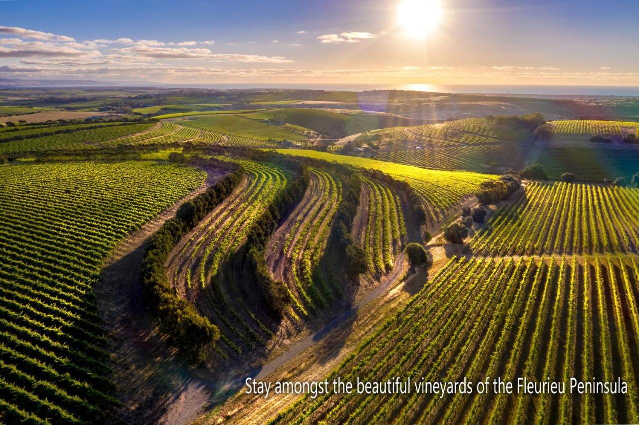 Bed and Breakfast The Old Chaff Mill Organic Vineyard Retreat Sellicks Hill Exterior foto