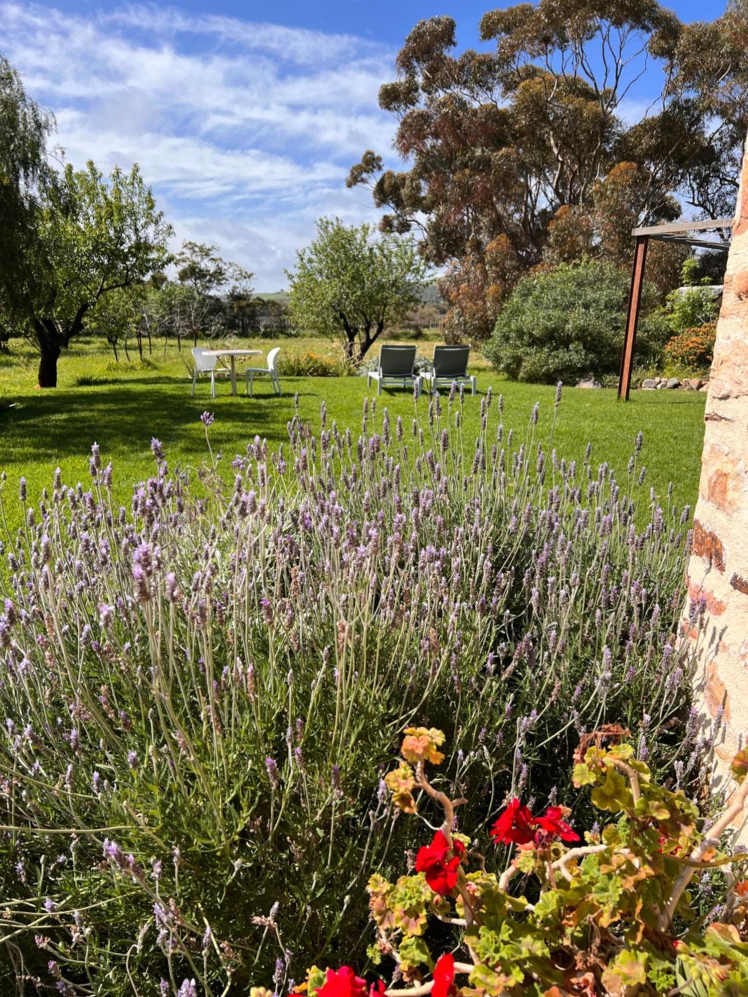 Bed and Breakfast The Old Chaff Mill Organic Vineyard Retreat Sellicks Hill Exterior foto